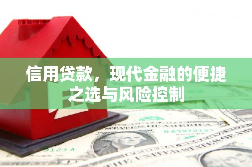杜集信用贷款，现代金融的便捷之选与风险控制