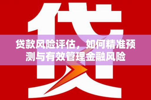 杜集贷款风险评估，如何精准预测与有效管理金融风险