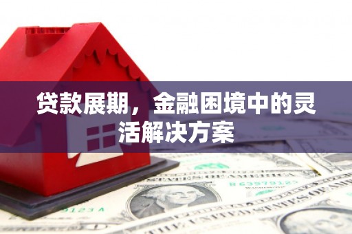 杜集贷款展期，金融困境中的灵活解决方案