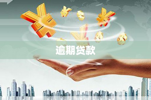 杜集逾期贷款