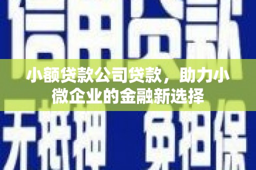 杜集小额贷款公司贷款，助力小微企业的金融新选择