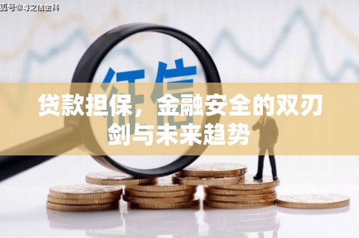 杜集贷款担保，金融安全的双刃剑与未来趋势