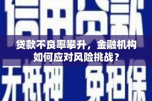 杜集贷款不良率攀升，金融机构如何应对风险挑战？