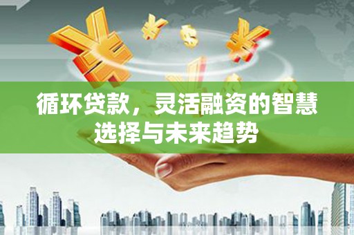 杜集循环贷款，灵活融资的智慧选择与未来趋势