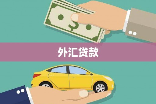 杜集外汇贷款