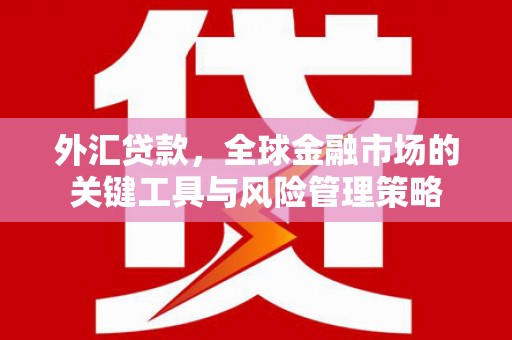 杜集外汇贷款，全球金融市场的关键工具与风险管理策略