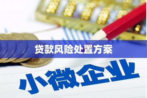 杜集贷款风险处置方案