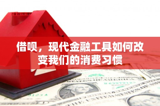 杜集借呗，现代金融工具如何改变我们的消费习惯