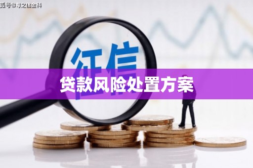 杜集贷款风险处置方案