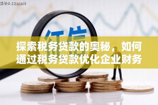 杜集探索税务贷款的奥秘，如何通过税务贷款优化企业财务