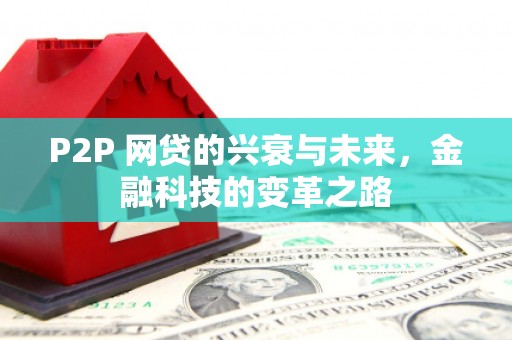 杜集P2P 网贷的兴衰与未来，金融科技的变革之路