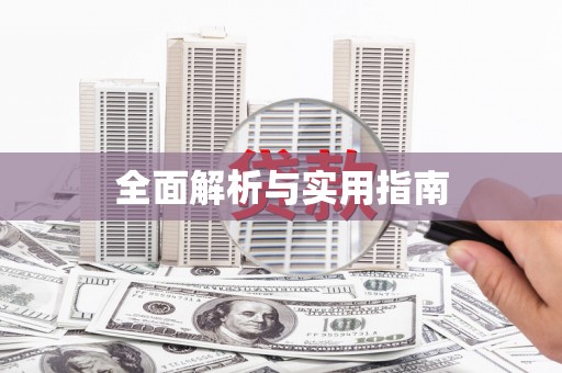 杜集全面解析与实用指南