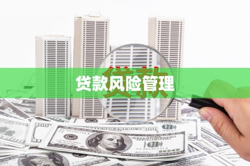 杜集贷款风险管理