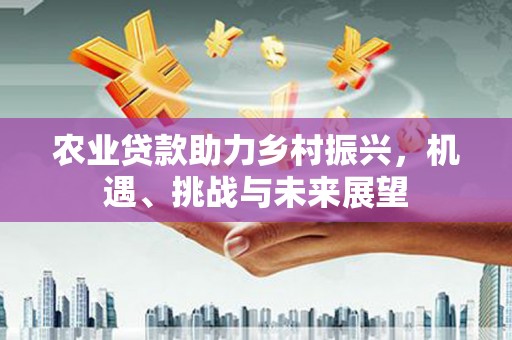 杜集农业贷款助力乡村振兴，机遇、挑战与未来展望