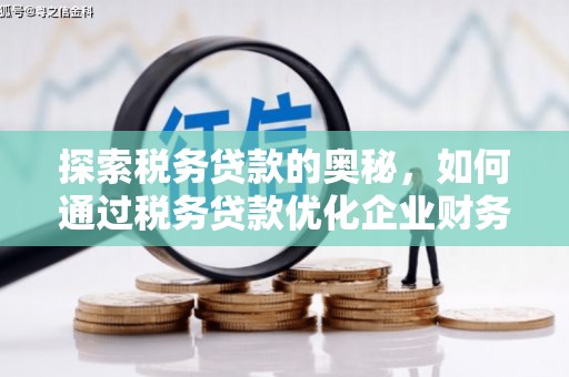 杜集探索税务贷款的奥秘，如何通过税务贷款优化企业财务