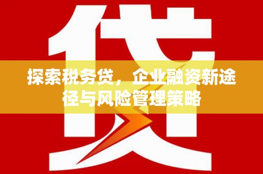 杜集探索税务贷，企业融资新途径与风险管理策略