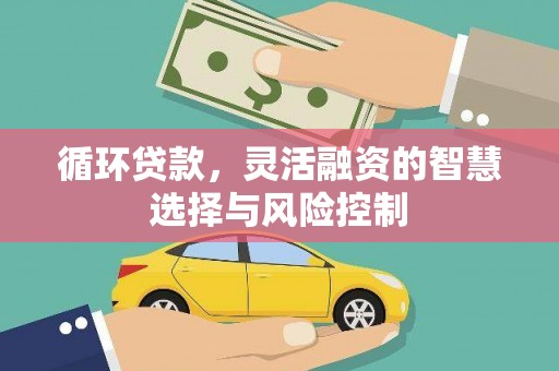 杜集循环贷款，灵活融资的智慧选择与风险控制