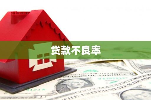 杜集贷款不良率