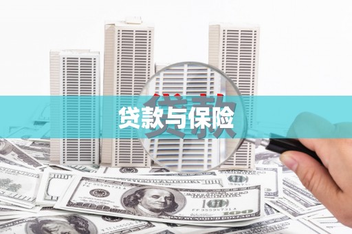 杜集贷款与保险