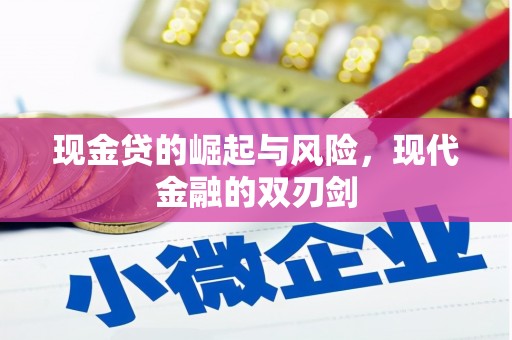 杜集现金贷的崛起与风险，现代金融的双刃剑