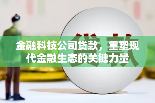 杜集金融科技公司贷款，重塑现代金融生态的关键力量