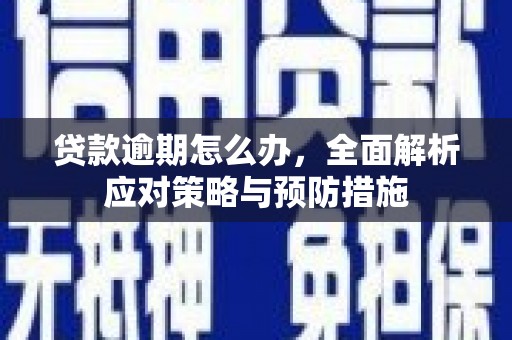 杜集贷款逾期怎么办，全面解析应对策略与预防措施