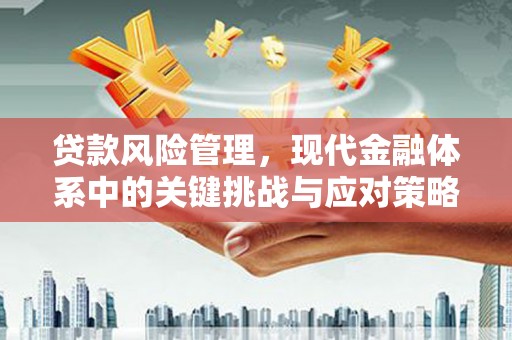 杜集贷款风险管理，现代金融体系中的关键挑战与应对策略