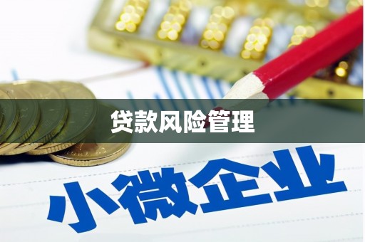 杜集贷款风险管理