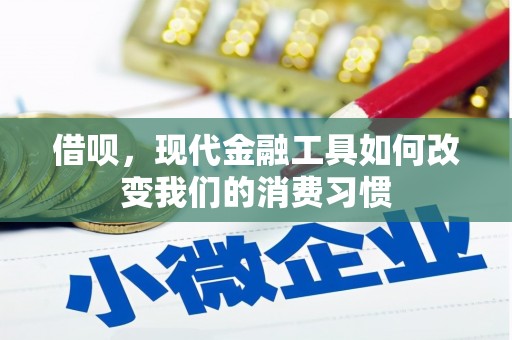 杜集借呗，现代金融工具如何改变我们的消费习惯