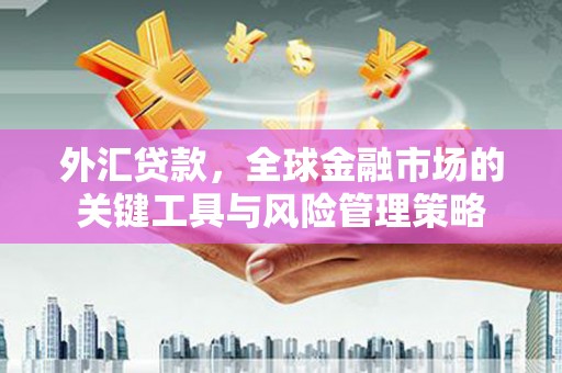 杜集外汇贷款，全球金融市场的关键工具与风险管理策略