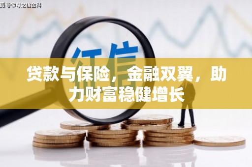 杜集贷款与保险，金融双翼，助力财富稳健增长