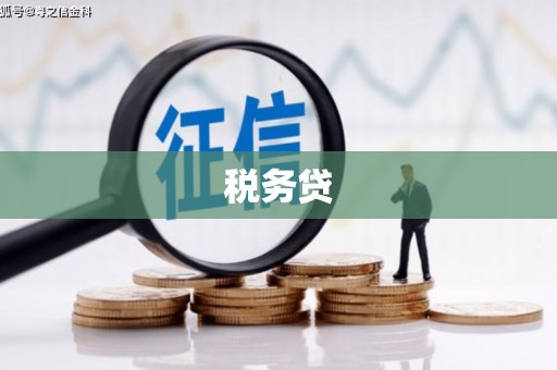 杜集税务贷