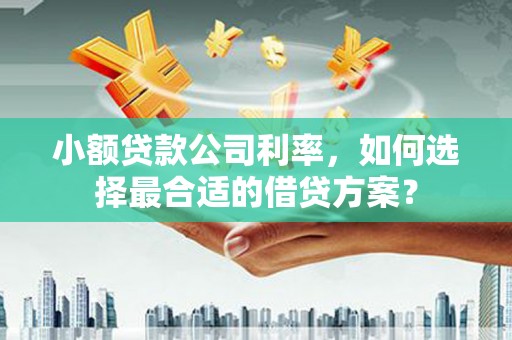 杜集小额贷款公司利率，如何选择最合适的借贷方案？