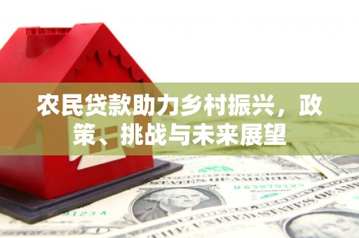 杜集农民贷款助力乡村振兴，政策、挑战与未来展望