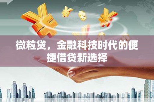 杜集微粒贷，金融科技时代的便捷借贷新选择