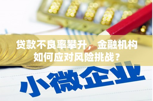 杜集贷款不良率攀升，金融机构如何应对风险挑战？