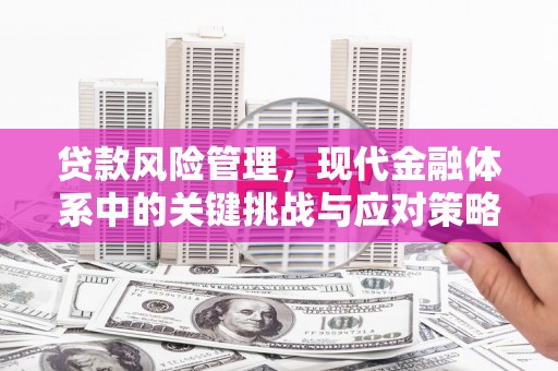 杜集贷款风险管理，现代金融体系中的关键挑战与应对策略