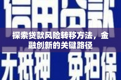 杜集探索贷款风险转移方法，金融创新的关键路径