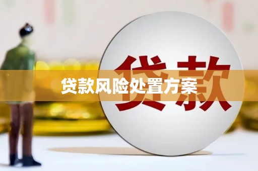 杜集贷款风险处置方案