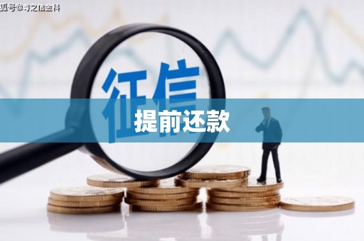 杜集提前还款