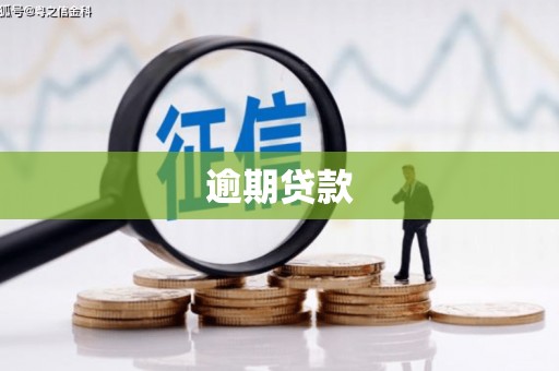 杜集逾期贷款