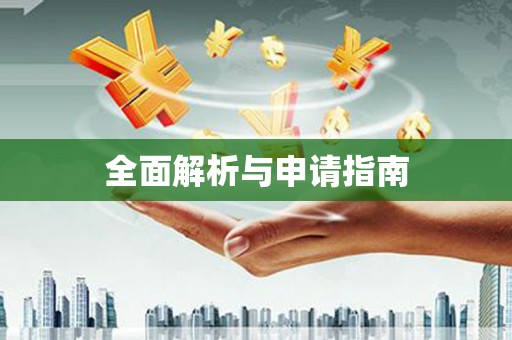 杜集全面解析与申请指南